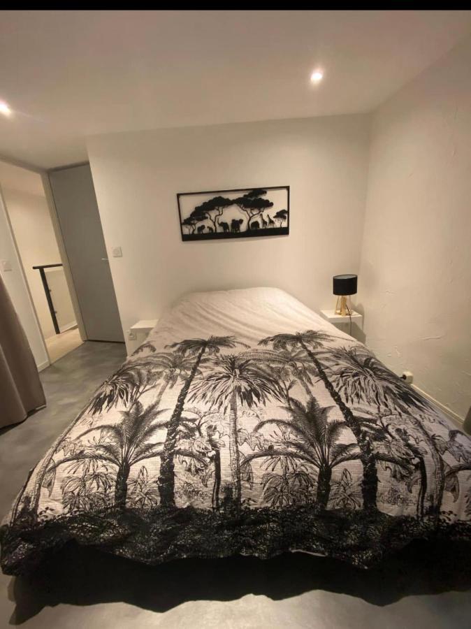 Duplex Béziers centre ville Extérieur photo